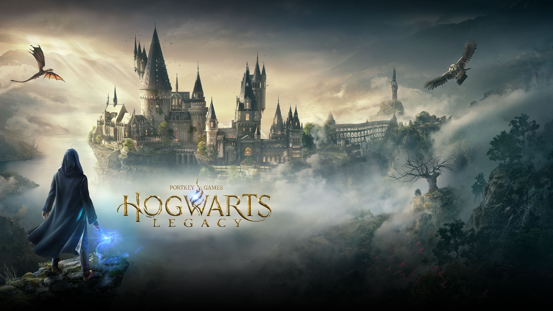 Hogwarts Legacy image